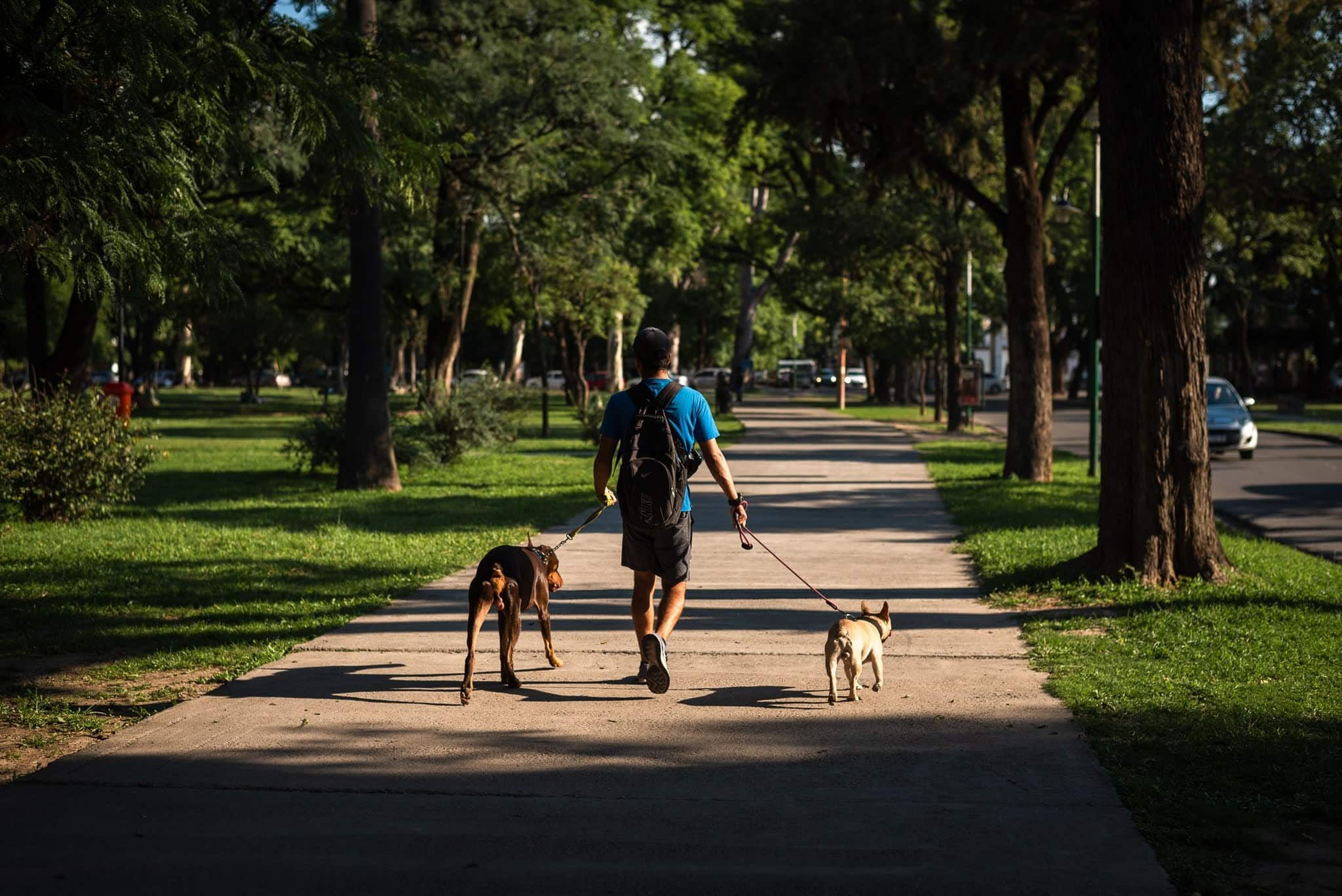 Parque San Martín