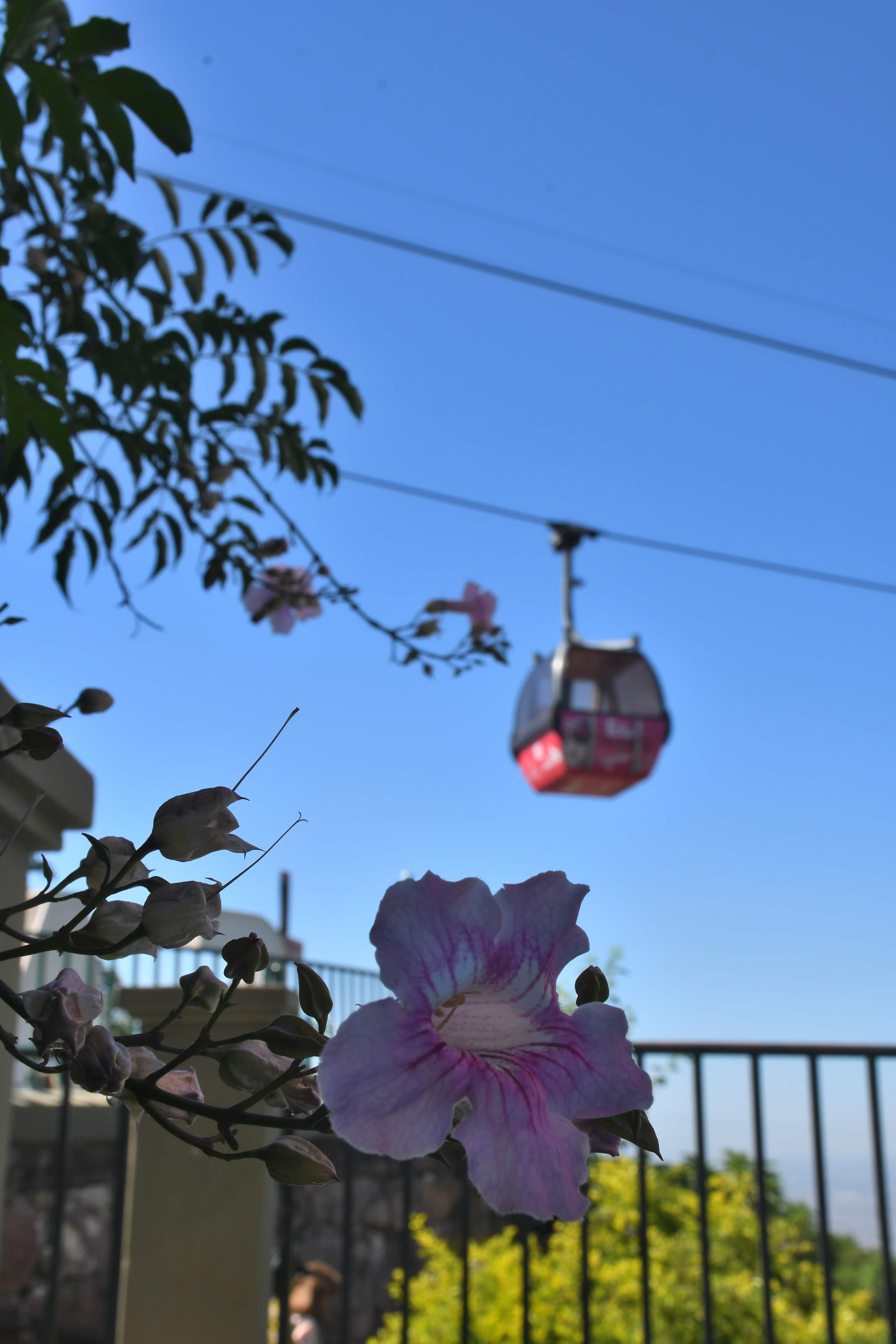 Teleferico San Bernardo