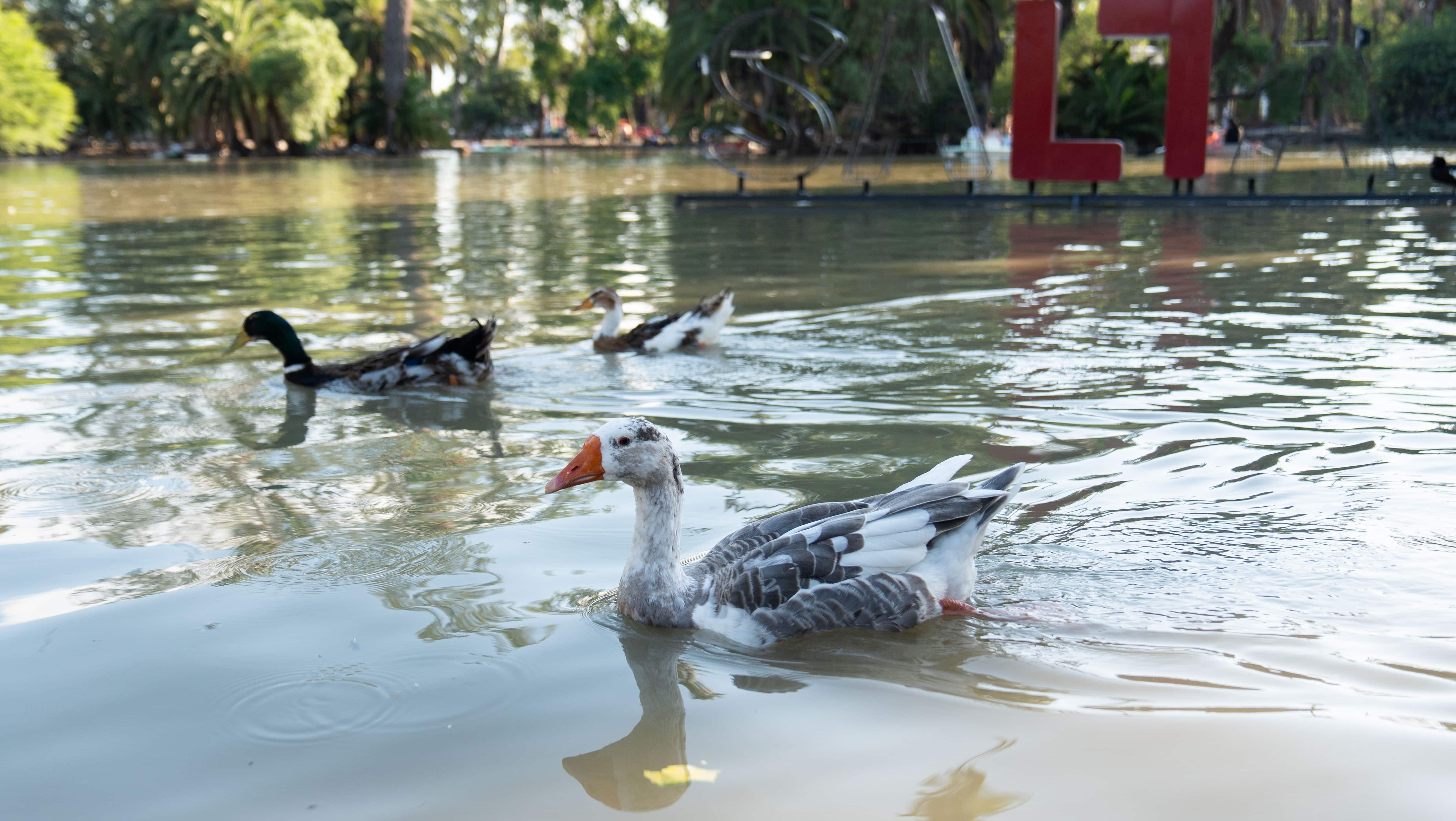 Parque San Martín
