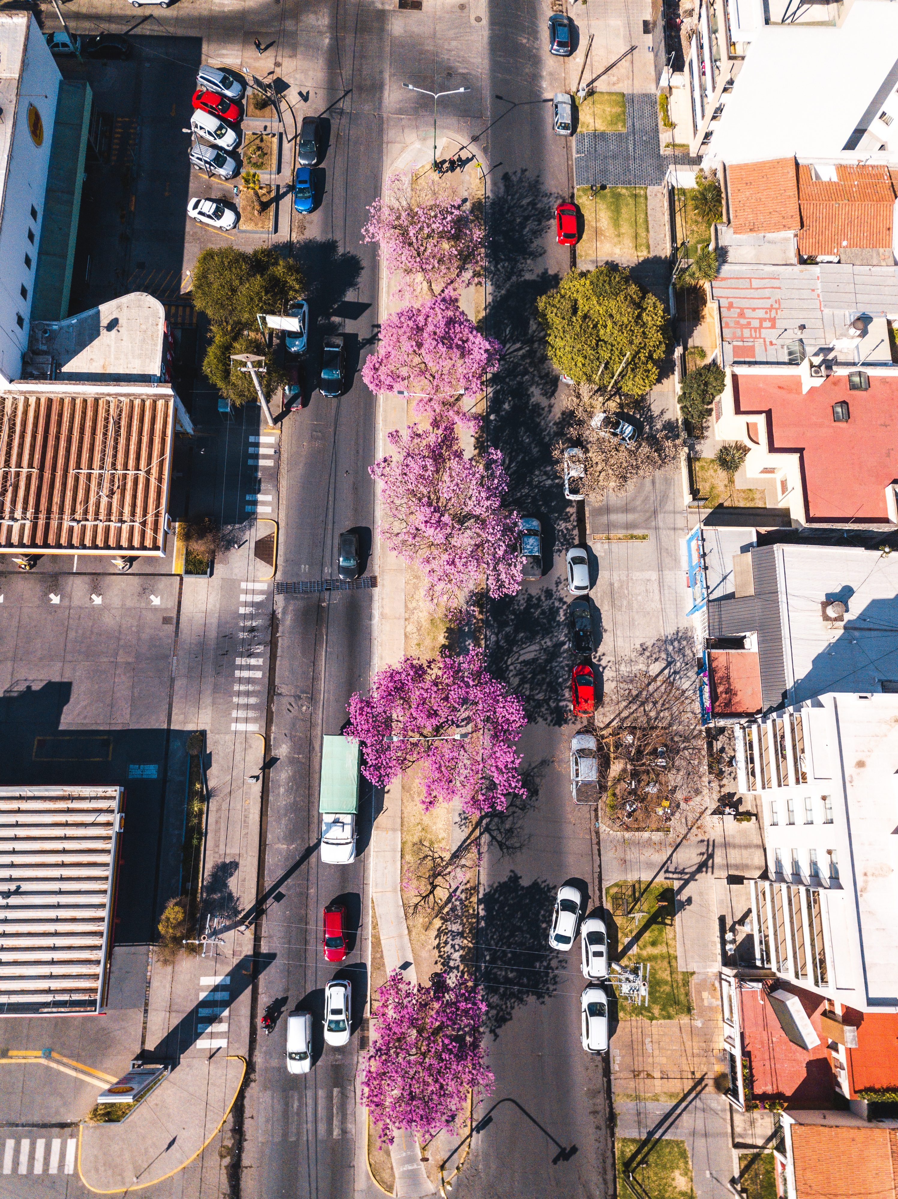 Paseo Bicentenario